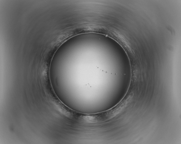 X0000113180265200909041349