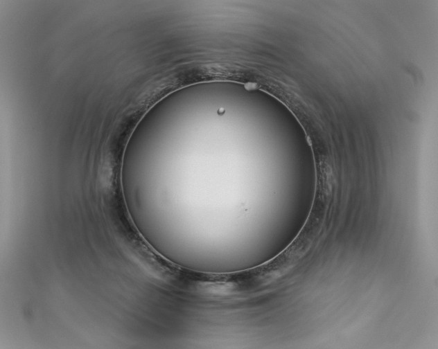 X0000113180266200909041349