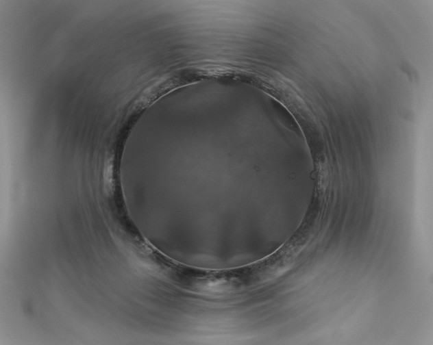 X0000113180267200909041349