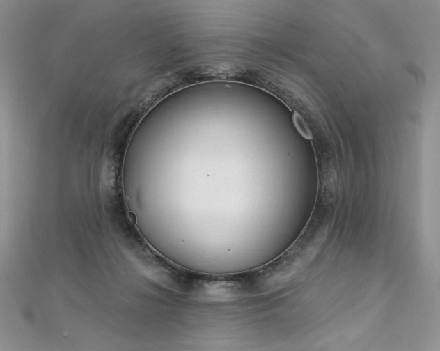 X0000113180268200909041349
