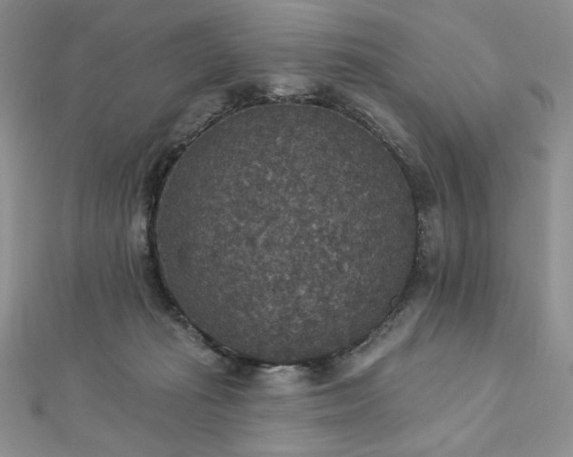 X0000113180269200909041349