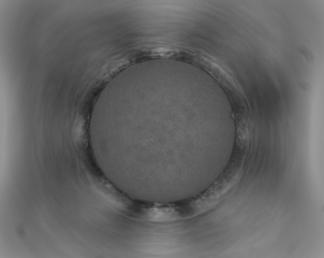 X0000113180270200909041349