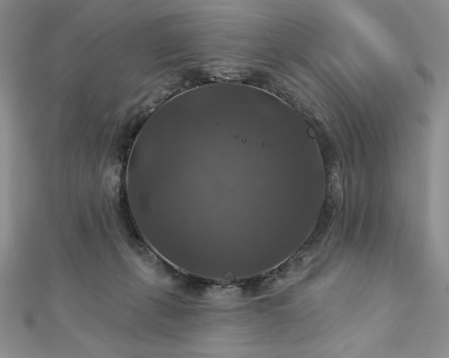 X0000113180271200909041349
