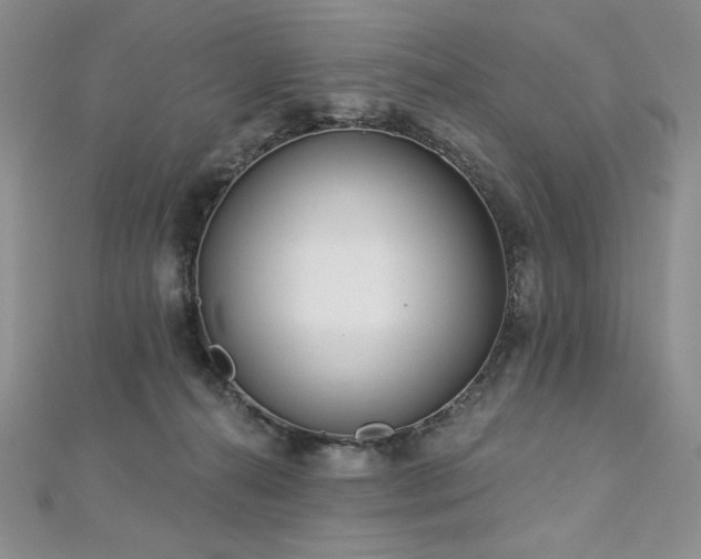 X0000113180272200909041349