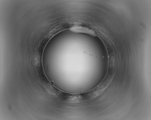 X0000113180274200909041349