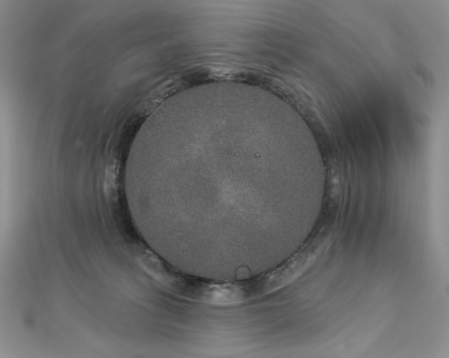 X0000113180275200909041349
