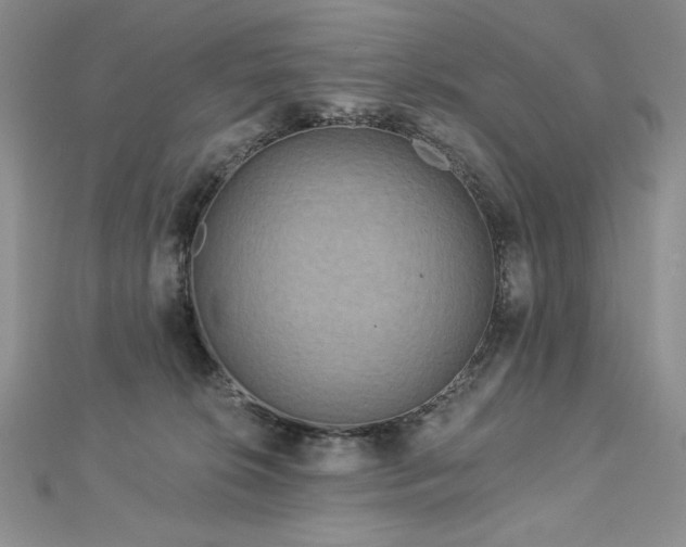 X0000113180276200909041349