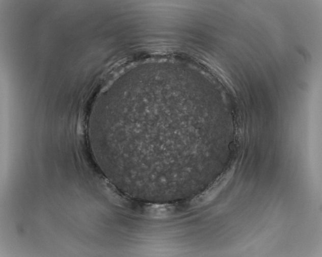 X0000113180277200909041349