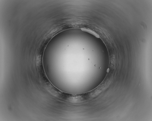X0000113180278200909041349