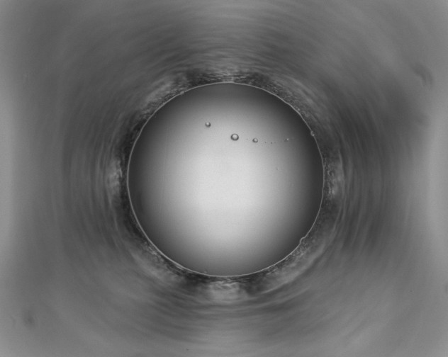 X0000113180279200909041349