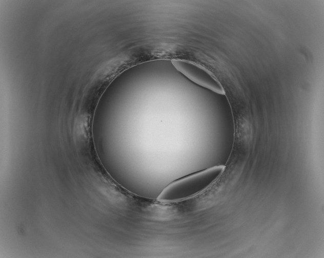 X0000113180280200909041349