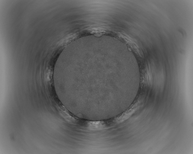 X0000113180281200909041349