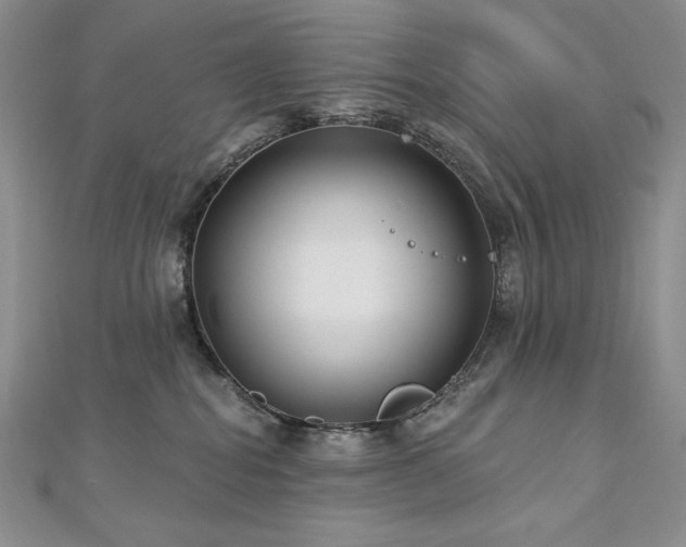 X0000113180282200909041349