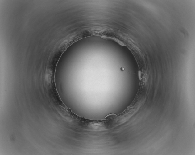 X0000113180283200909041349