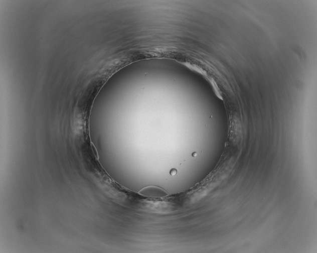 X0000113180284200909041349