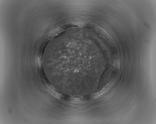 X0000113180285200909041349