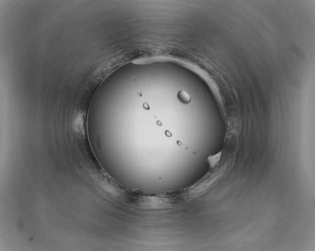 X0000113180286200909041349