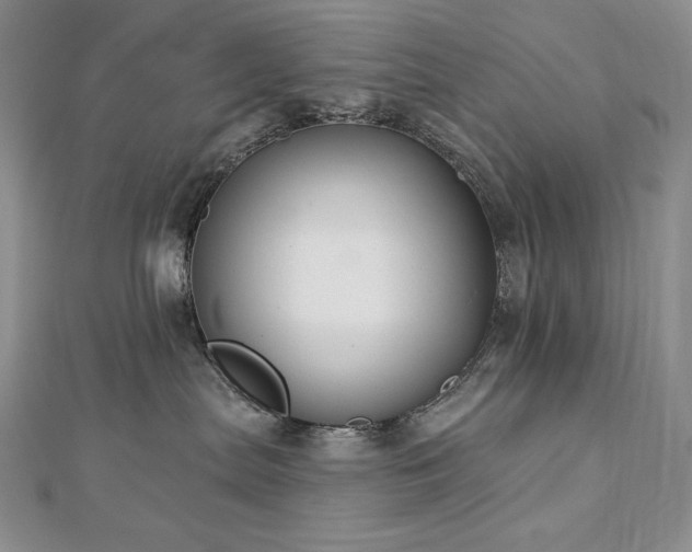 X0000113180287200909041349
