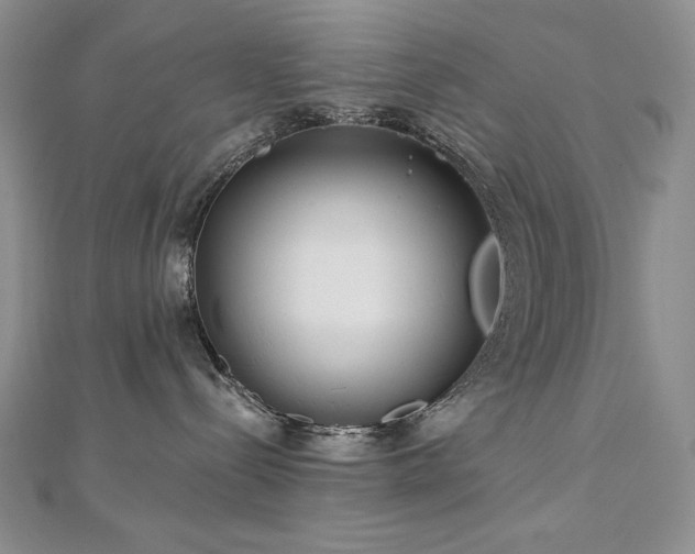 X0000113180288200909041349
