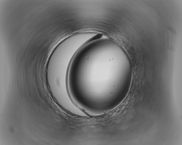 X0000113180289200909041349