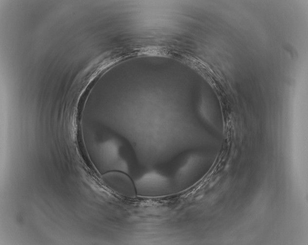 X0000113180290200909041349