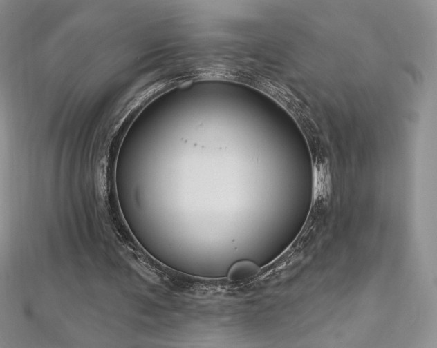 X0000113180291200909041349