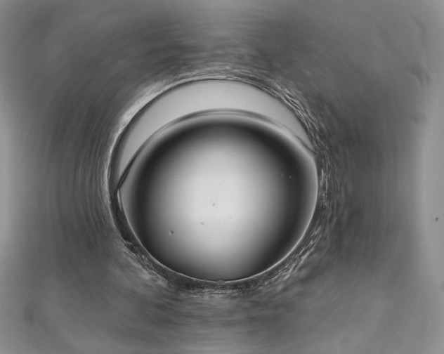 X0000113180292200909041349