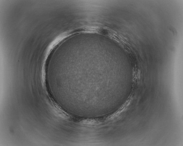 X0000113180294200909041349