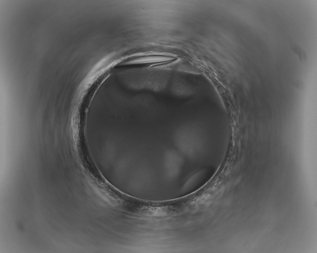 X0000113180295200909041349