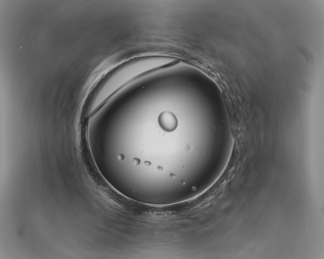 X0000113180296200909041349