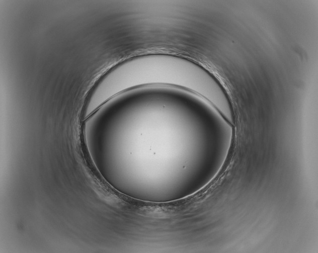 X0000113180297200909041349