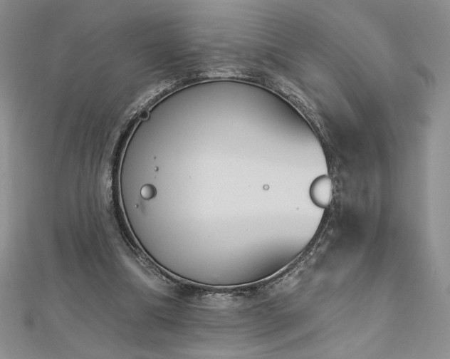 X0000113180298200909041349