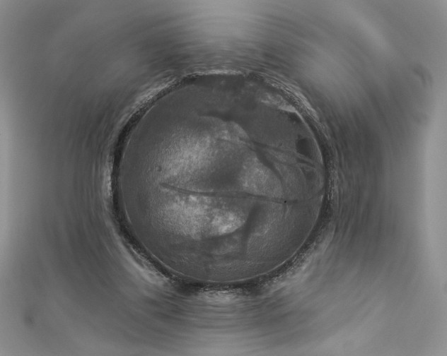 X0000113180299200909041349
