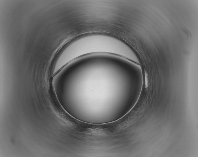 X0000113180300200909041349