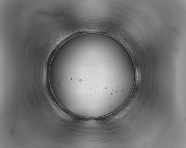 X0000113180301200909041349