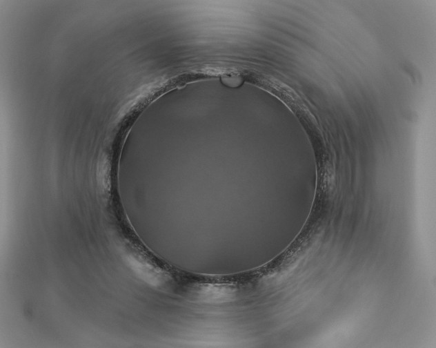 X0000113180303200909041349