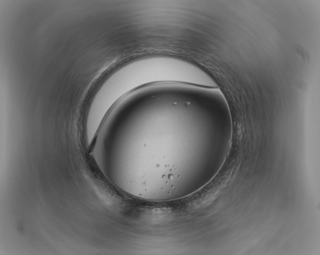 X0000113180304200909041349
