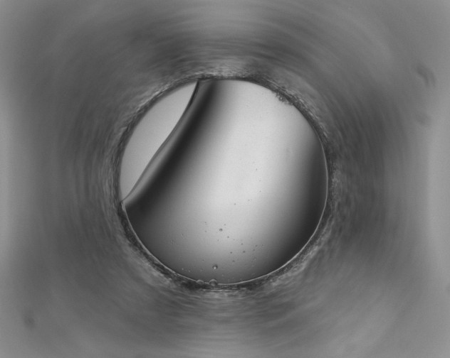 X0000113180305200909041349