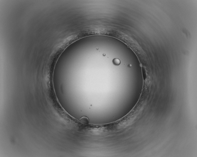 X0000113180306200909041349