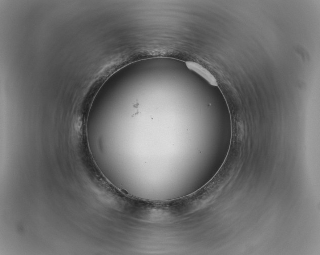 X0000113180308200909041349