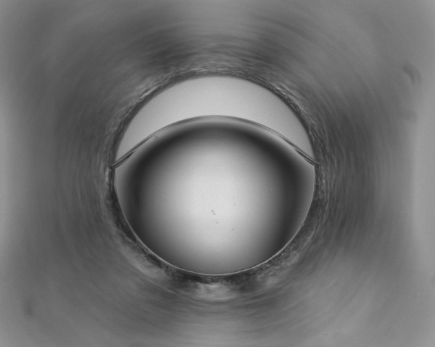 X0000113180309200909041349