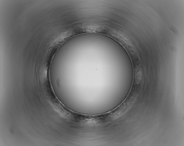 X0000113180310200909041349
