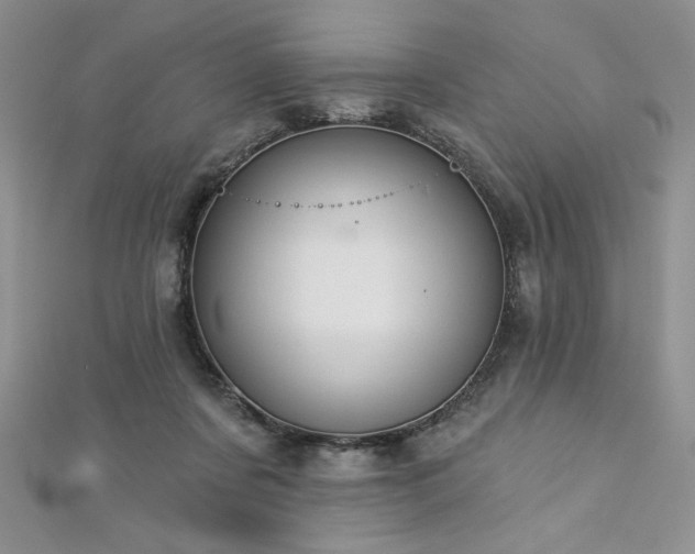 X0000113180311200909041349