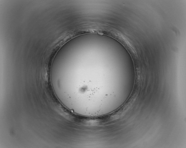 X0000113180313200909041349