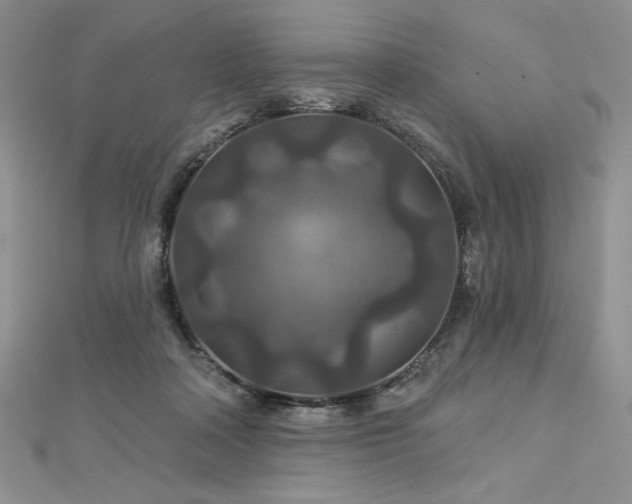 X0000113180314200909041349