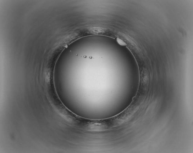 X0000113180315200909041349