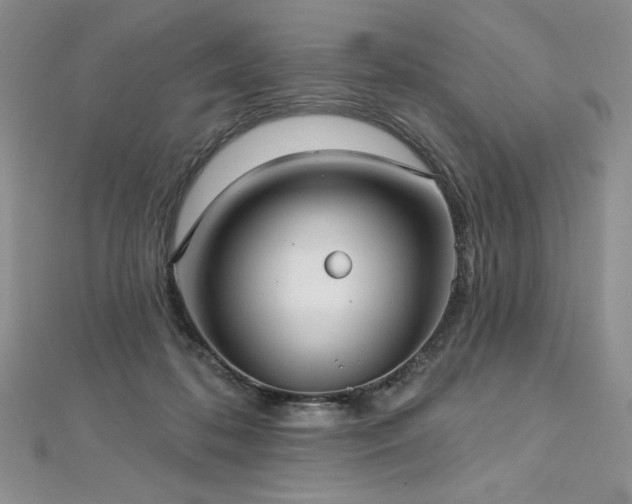 X0000113180316200909041349