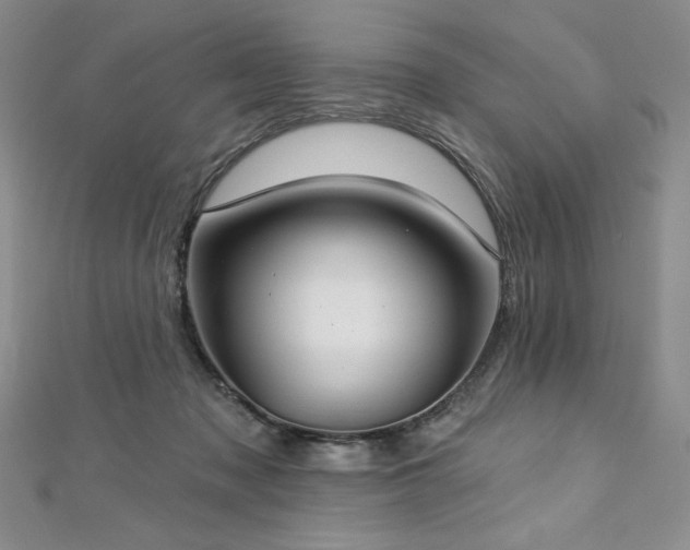 X0000113180317200909041349