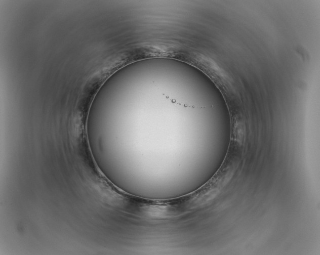 X0000113180318200909041348