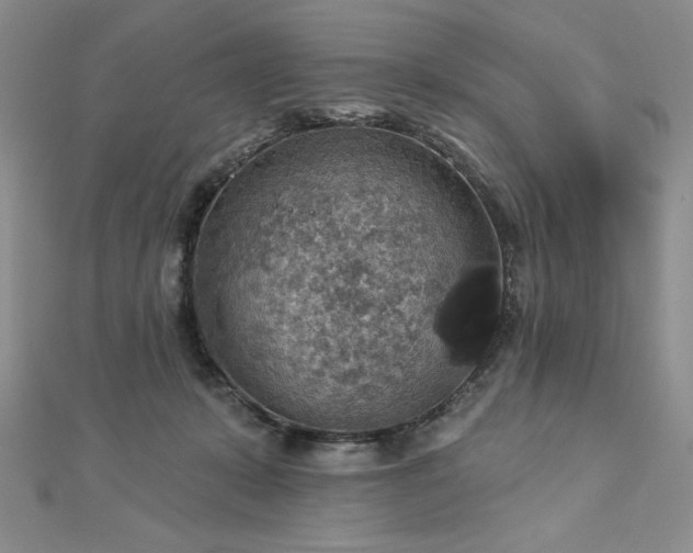 X0000113180319200909041348